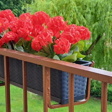 アパート Alice 5