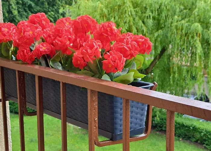 アパート Alice 5